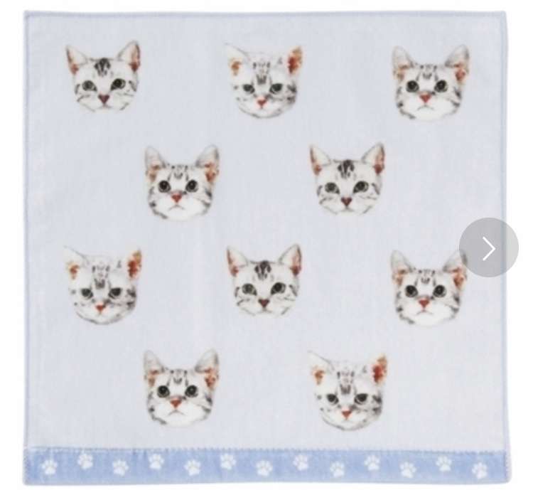 お気に入りのハンカチ見せて!