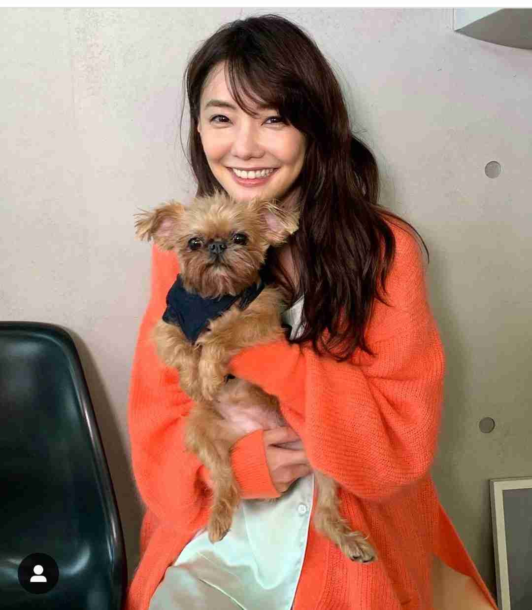 倉科カナ＆三浦翔平ら出演の