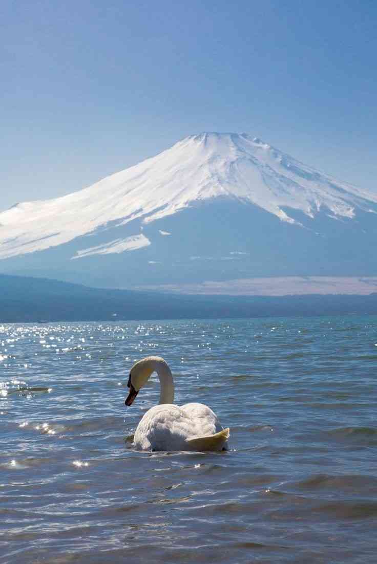 子供の生まれ月、計画的ですか？