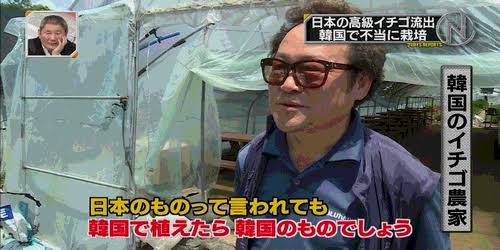 「種苗法改正案」今国会成立を断念へ　柴咲コウさんの懸念ツイートで慎重論拡大