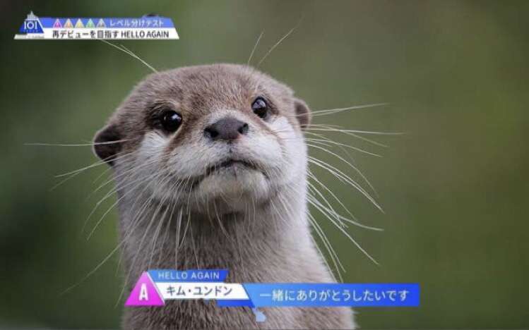 推しに会えない悲しみを語ろう