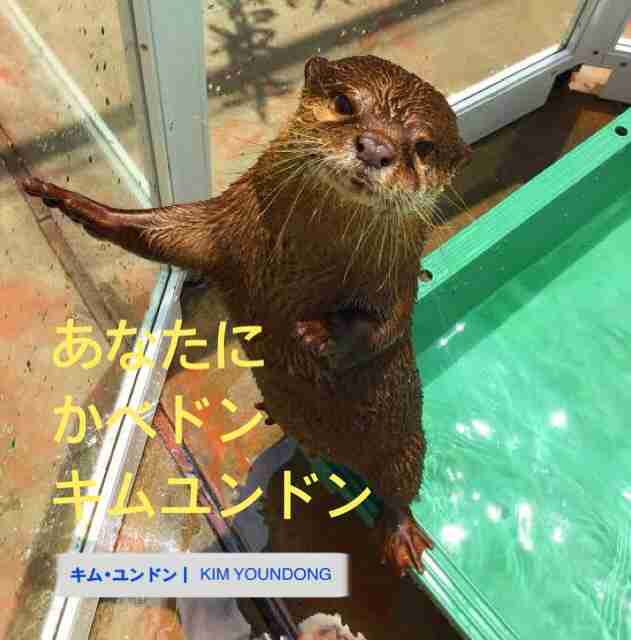 推しに会えない悲しみを語ろう