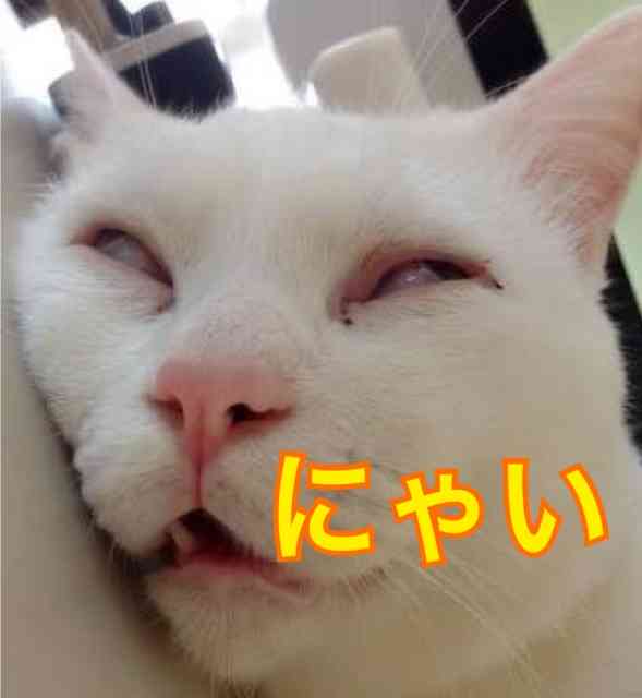 絶望的な出来事の後に良い事ありましたか?part 2
