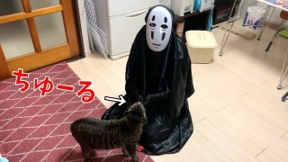 いろんなカオナシがみたい