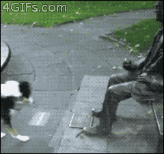 【笑いのツボ浅い人歓迎!!】フフッてなる画像やgifが集まるトピ