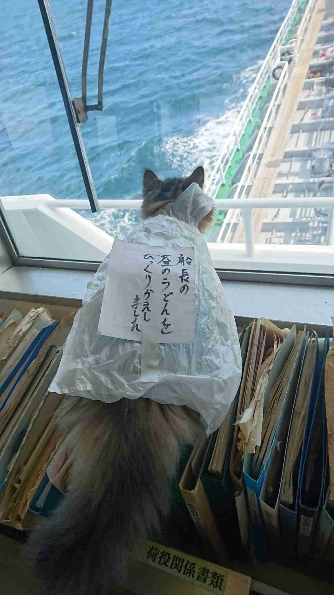 【笑いのツボ浅い人歓迎!!】フフッてなる画像やgifが集まるトピ