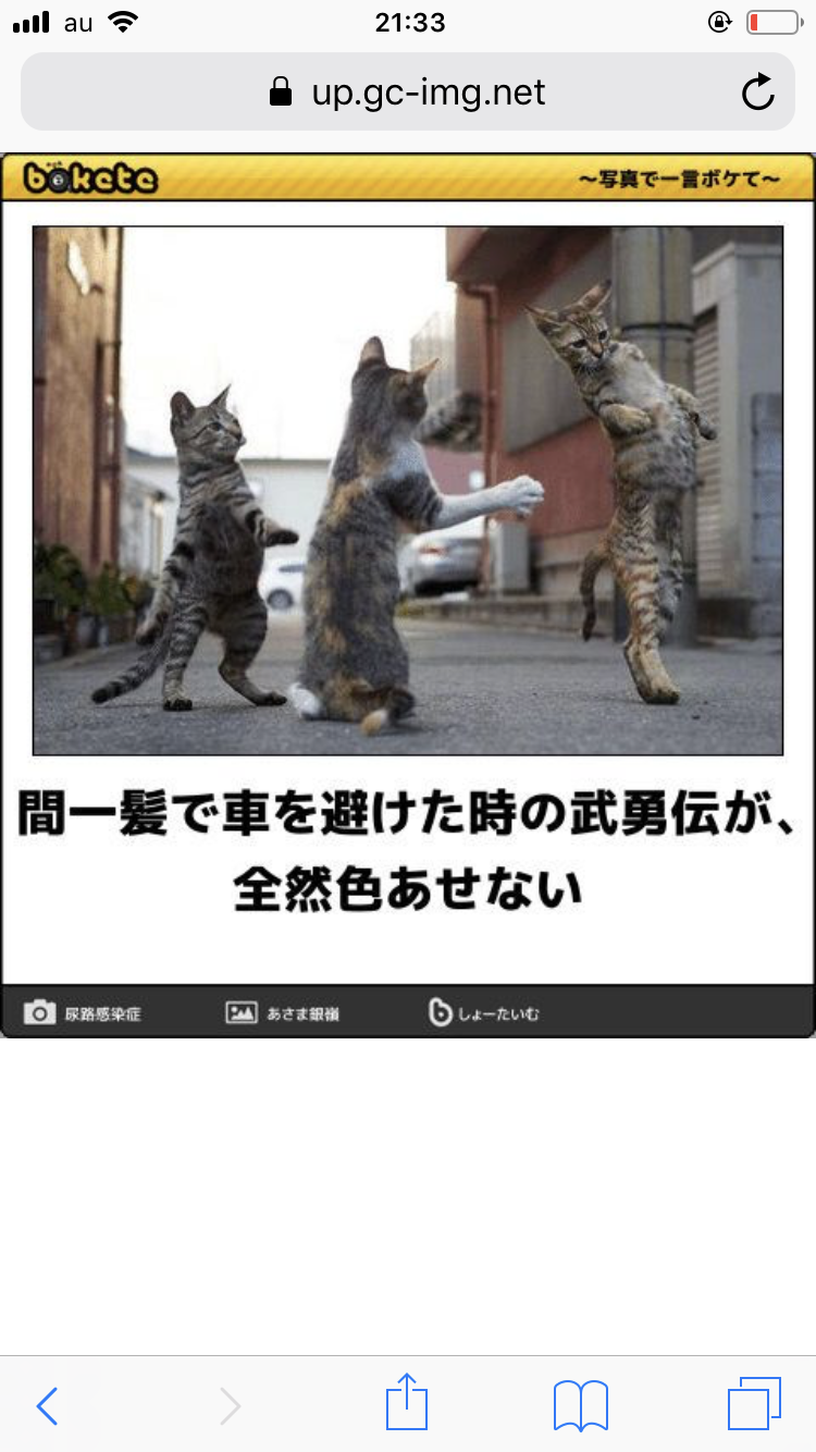 【笑いのツボ浅い人歓迎!!】フフッてなる画像やgifが集まるトピ
