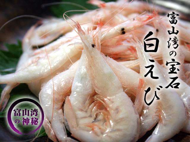アマビエと甘エビを交互に貼るトピ
