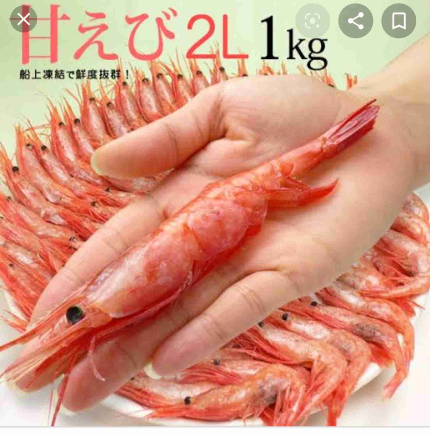 アマビエと甘エビを交互に貼るトピ