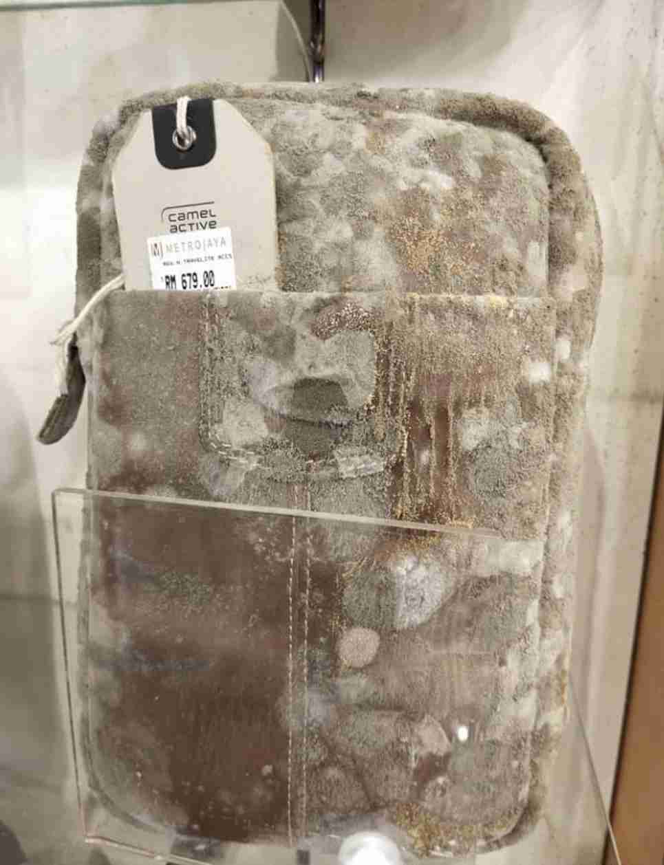 【閲覧注意】カビに覆われたマレーシアのショッピングモール 新型コロナのロックダウンがもたらした意外な影響