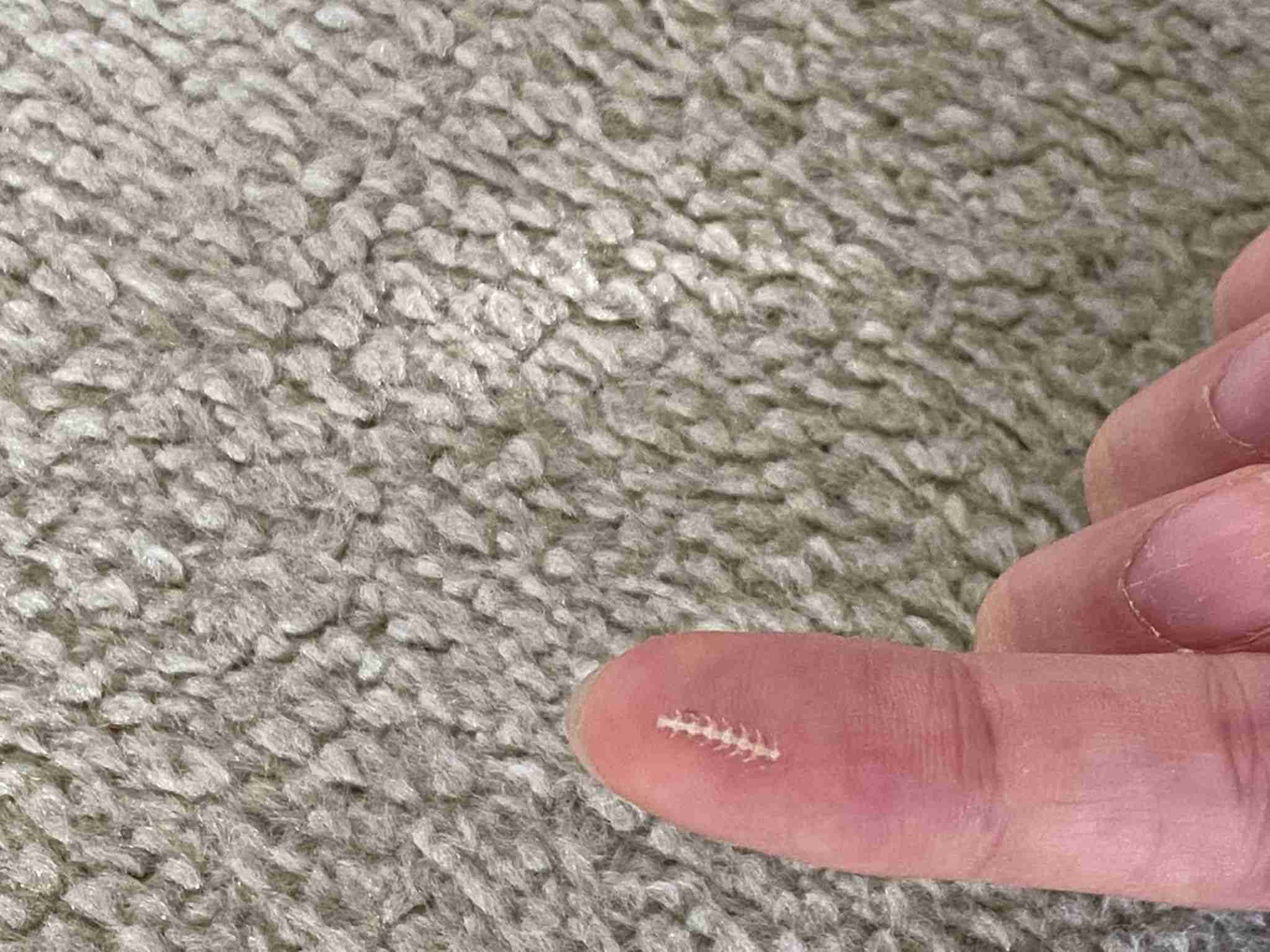 ハムスターはなぜ可愛いのか