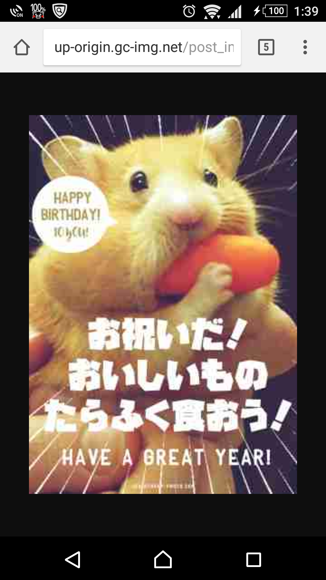 ハムスターはなぜ可愛いのか