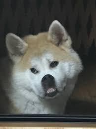 友人が３人目出産。お祝いどうする？