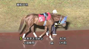 【思わず2度見】クセの強すぎる競走馬の名前ランキング