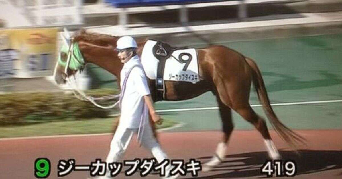 【思わず2度見】クセの強すぎる競走馬の名前ランキング