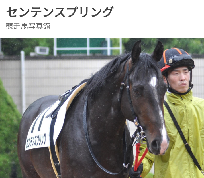 【思わず2度見】クセの強すぎる競走馬の名前ランキング