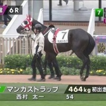 【思わず2度見】クセの強すぎる競走馬の名前ランキング