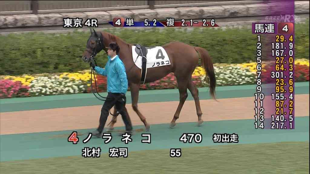 【思わず2度見】クセの強すぎる競走馬の名前ランキング