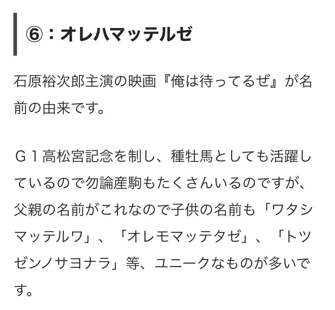 【思わず2度見】クセの強すぎる競走馬の名前ランキング