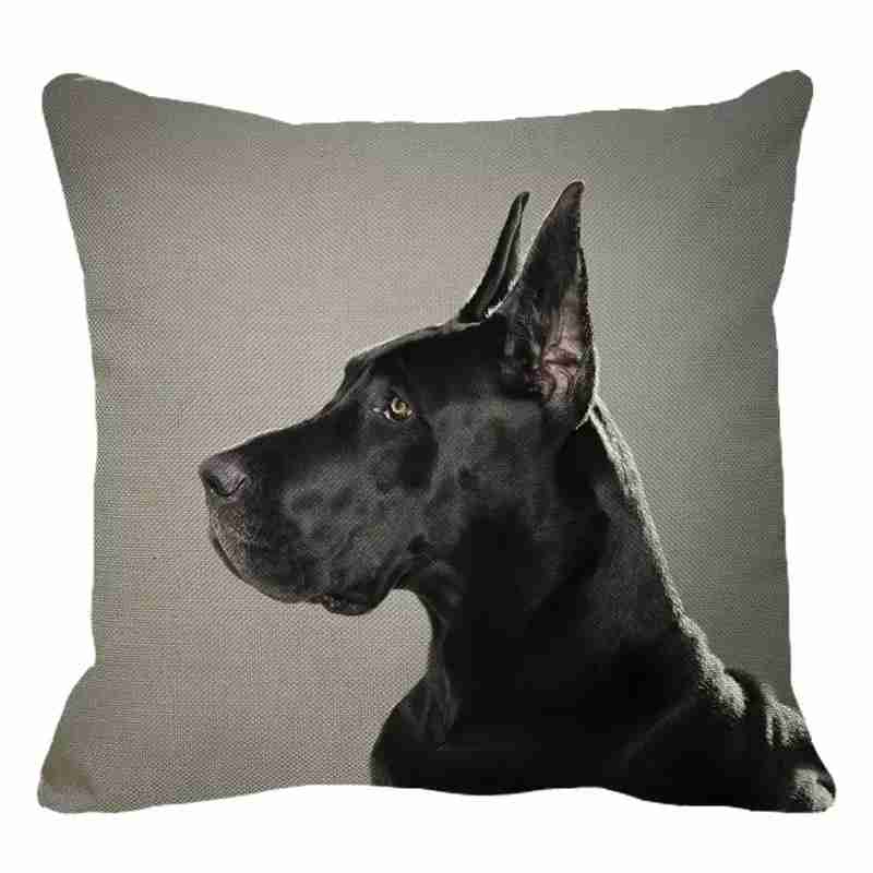 宇宙が舞台の映画