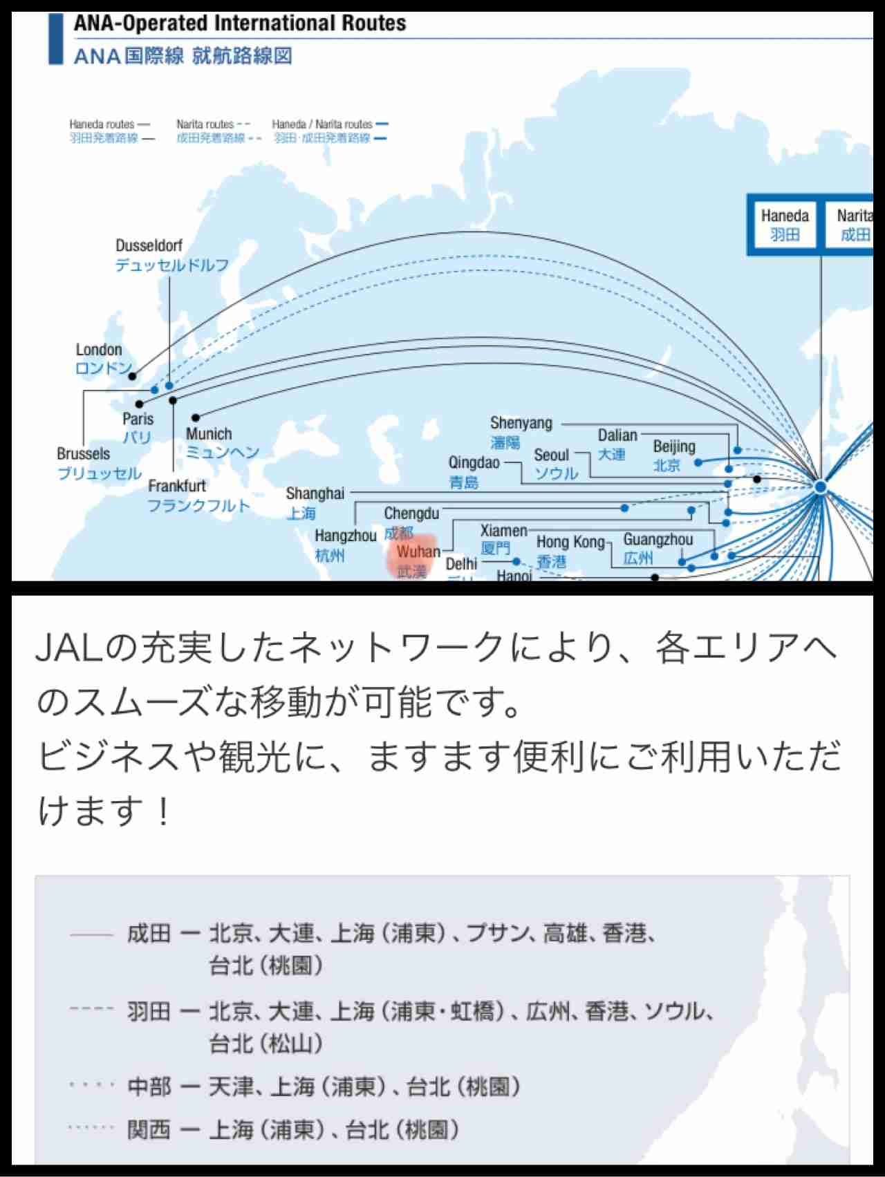 武漢チャーター費は8000万円　邦人退避5便、全日空と随意契約