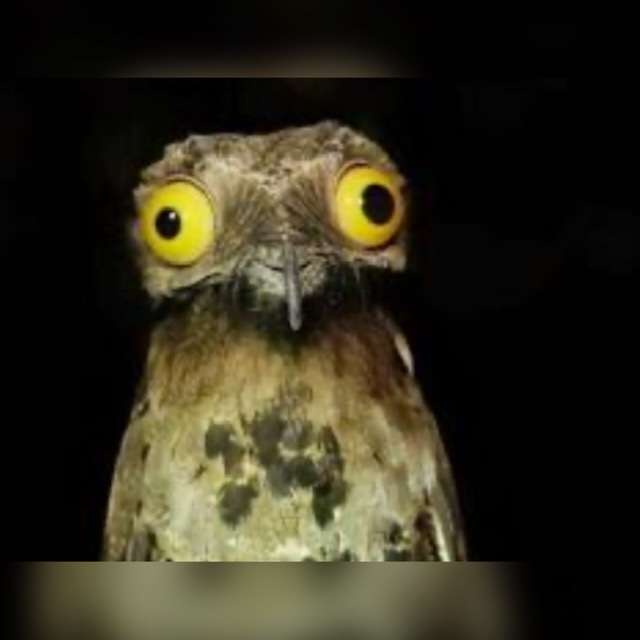 ラテン系イケメンが見たい！