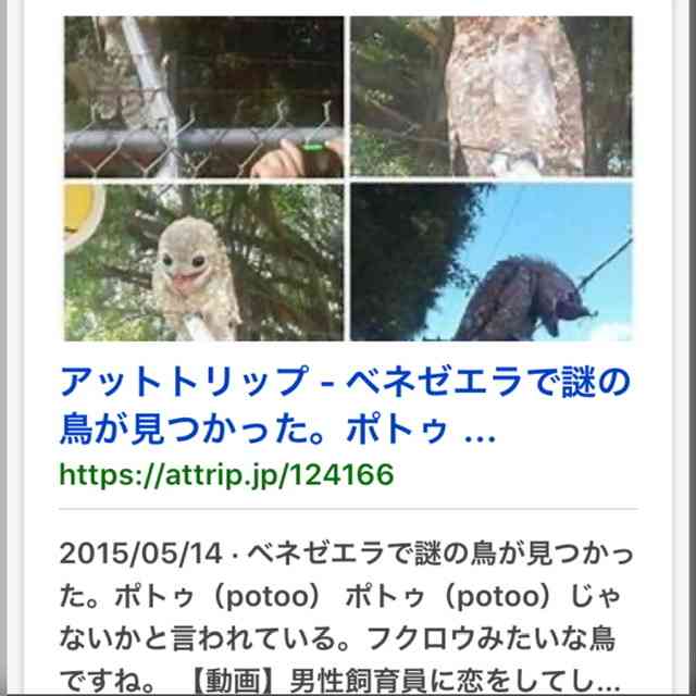 ラテン系イケメンが見たい！