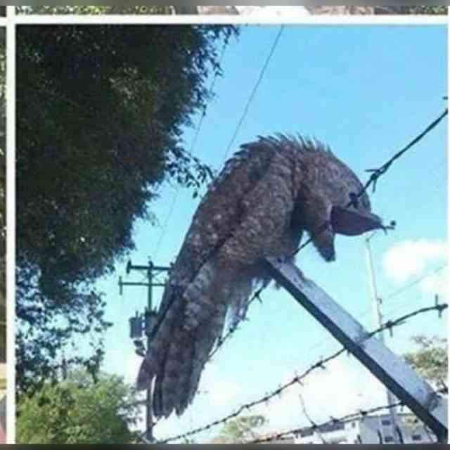 ラテン系イケメンが見たい！