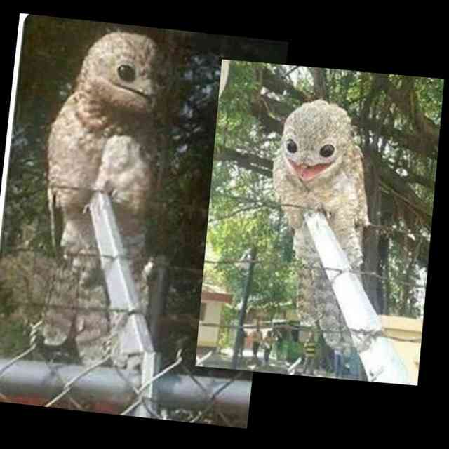 ラテン系イケメンが見たい！