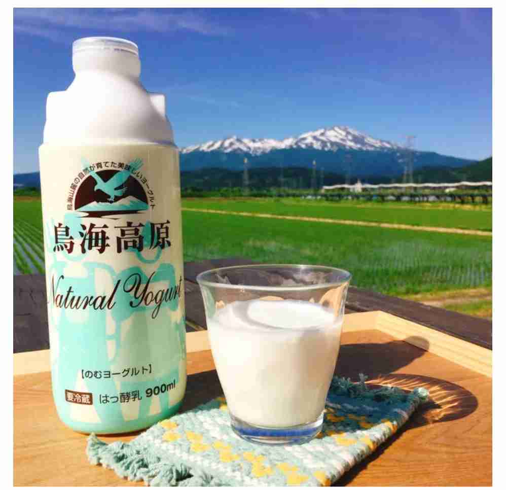 飲むヨーグルトを語ろう