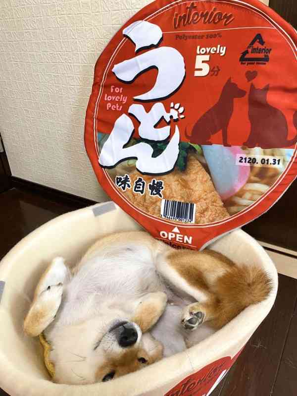 赤いきつねが「赤緑合戦」2連覇を達成、“もっと赤い”たぬき登場