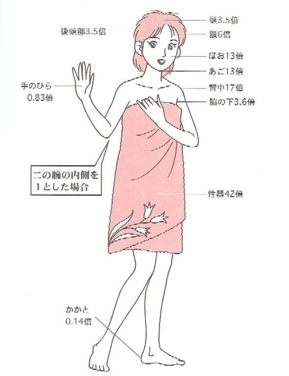 自然派のシャンプーおすすめ