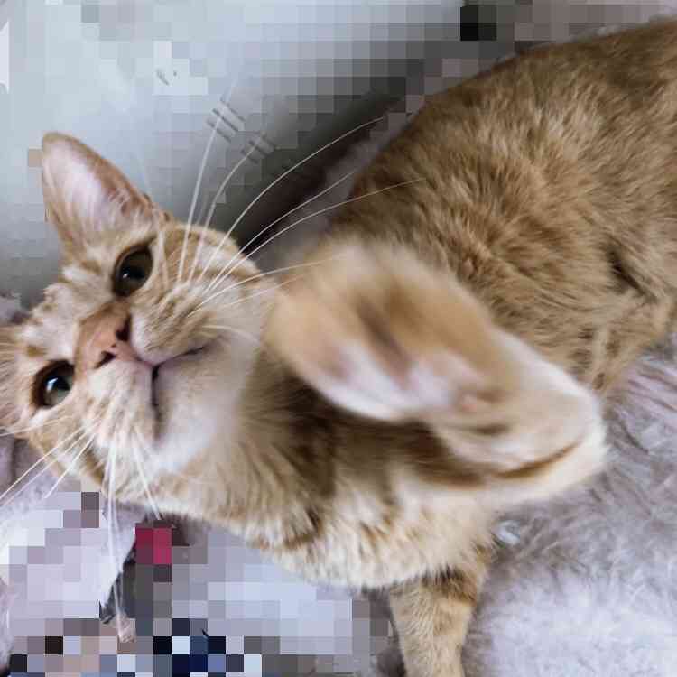 GWも後半な雑談トピ
