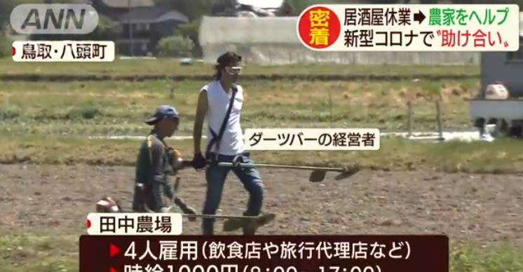 休業の居酒屋スタッフが農家をヘルプで“助け合い”