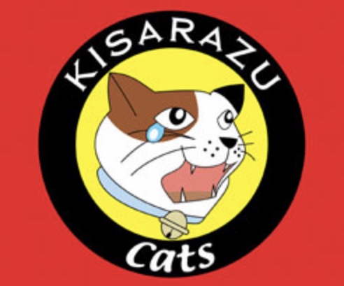 「木更津キャッツアイ」を語りたい！
