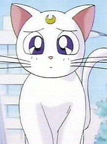 PRODUCE 101JAPAN を語りたいpart.7