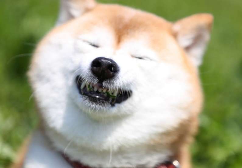 PRODUCE 101JAPAN を語りたいpart.７