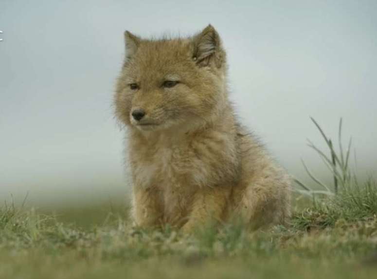 PRODUCE 101JAPAN を語りたいpart.７