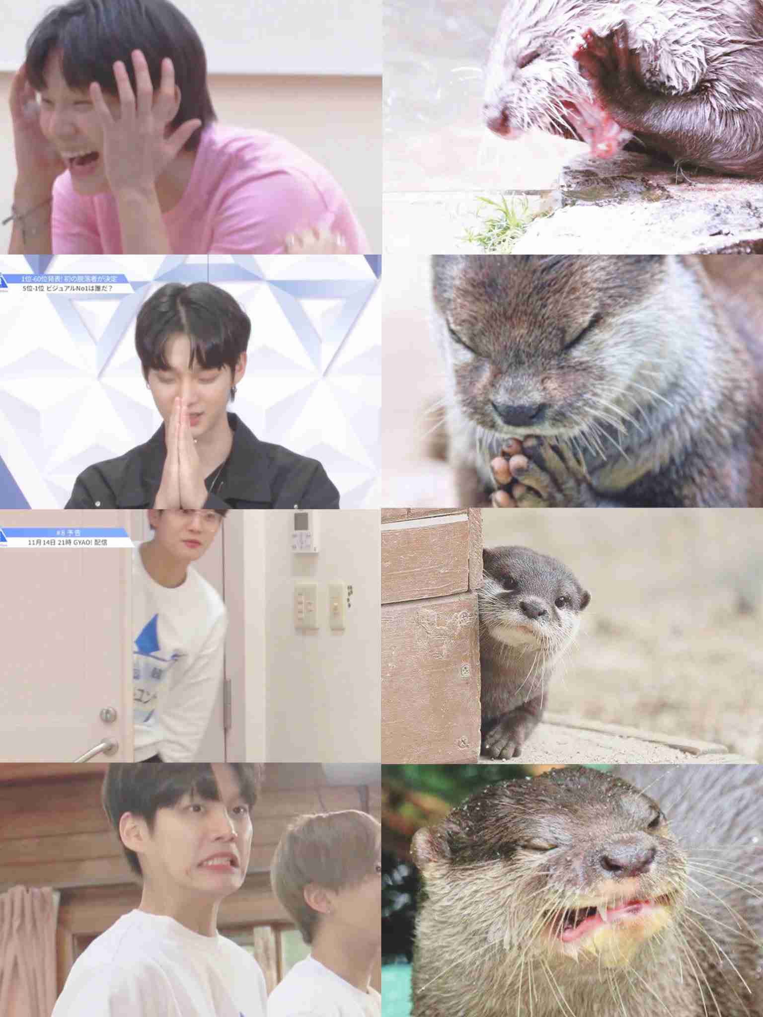 PRODUCE 101JAPAN を語りたいpart.7