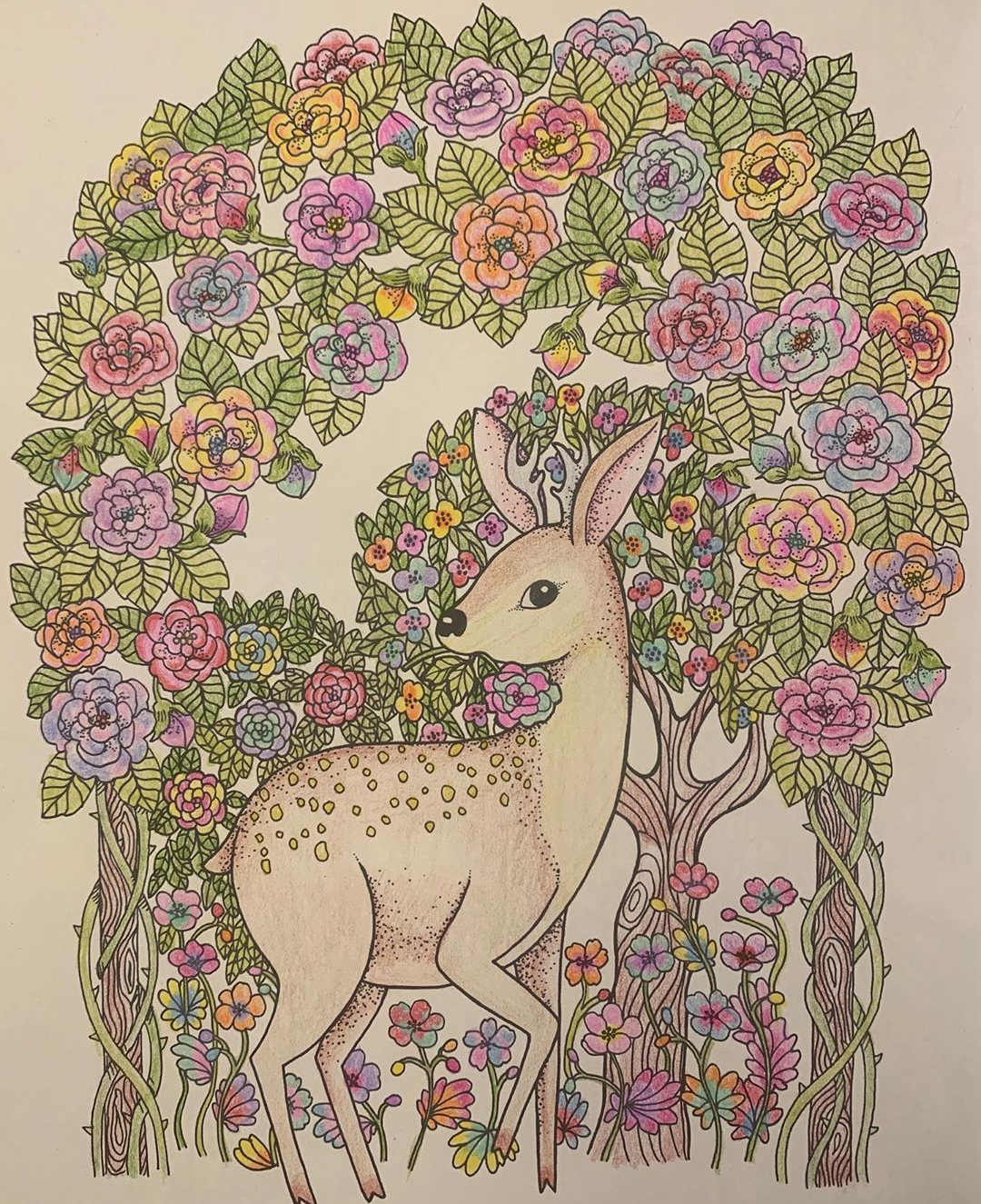 浅田真央の「お絵描き」が話題に…「待ち受けにしたらご利益ありそう」「癒し効果絶大」と絶賛の嵐