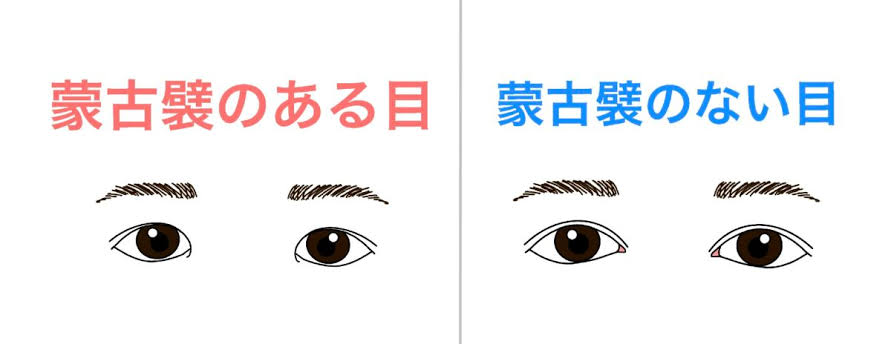 童顔と大人顔の違い