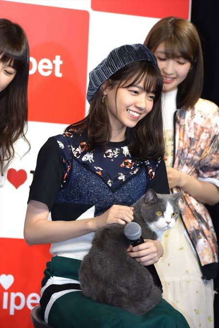 アイドルや芸能人が将来売れるかどうかわかりますか?