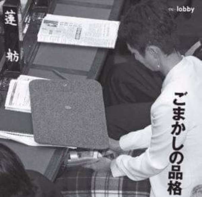 検察庁法改正案審議中にワニの動画閲覧　自民・平井前科技担当相「たまたま出た」