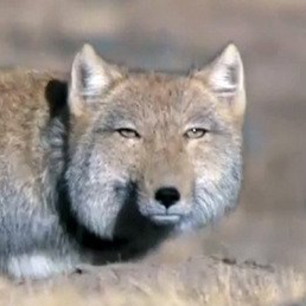 登場人物全員がガル民の火サスにありがちなこと