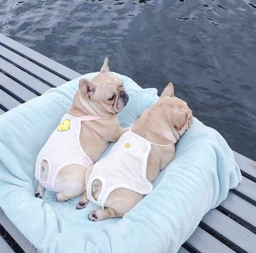 コメントをつけて動物画像を貼るトピ