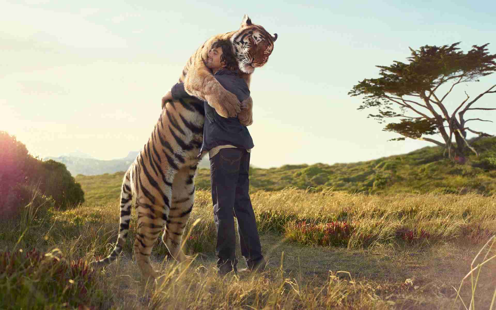 コメントをつけて動物画像を貼るトピ