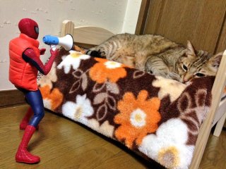 【教えて】旦那を説得する方法