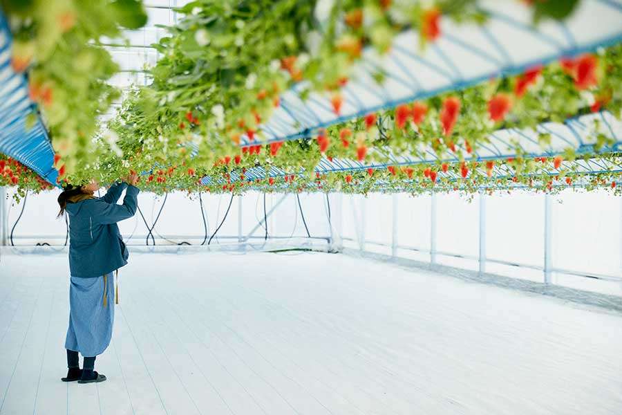 淡路島を語りたい！