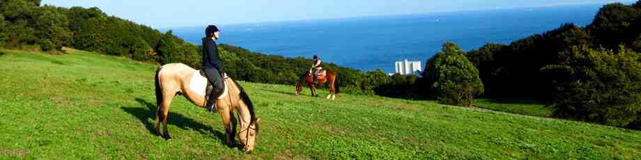 淡路島を語りたい！