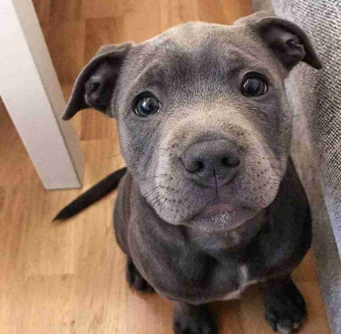 淡路島を語りたい！